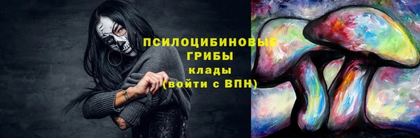 ешки Алзамай