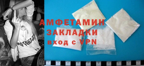 СК Алексин