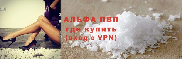 СК Алексин