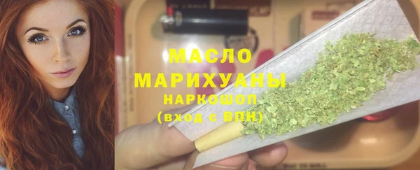 СК Алексин