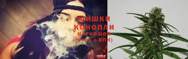 ешки Алзамай