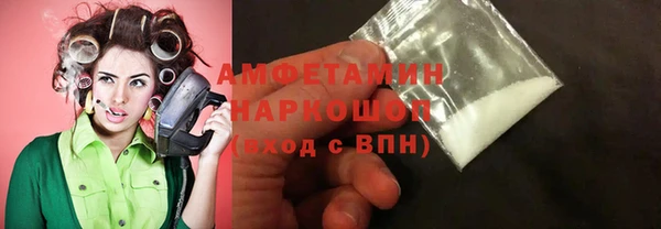 СК Алексин