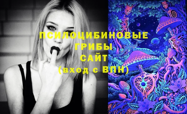 СК Алексин