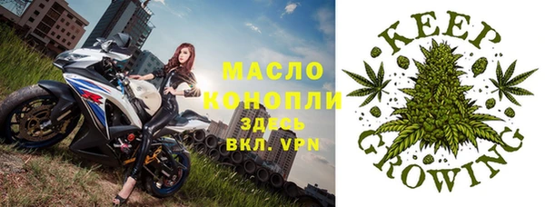 сатива Абдулино
