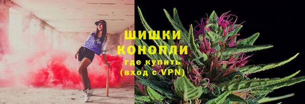 ешки Алзамай