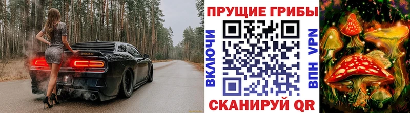 Галлюциногенные грибы мухоморы  где найти   kraken рабочий сайт  Николаевск-на-Амуре 